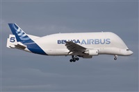 �Sergio Cambronero - Asociaci�n AIRE. Click to see full size photo