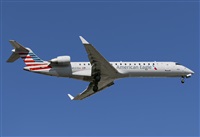 �Rod Dermo. Haz click para ampliar