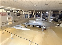 ©Daniel Ferro. Click to see full size photo ©Daniel Ferro. Click to see full size photo