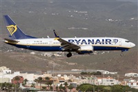 �Adolfo Bento - Gran Canaria Spotters. Click to see full size photo