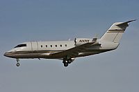 Jos Miguel Bernases - Noisy Spotters. Click to see full size photo