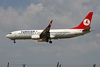 Cele - Spotters BCN. Click to see full size photo