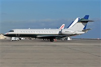 ©La Roche Spotters. Click to see full size photo ©La Roche Spotters. Click to see full size photo