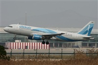 Jos Miguel Bernases - Noisy Spotters. Click to see full size photo