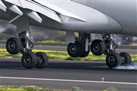 ALAMO AIRLINES.CANARY ISLANDS SPOTTING. Click to see full-size photo