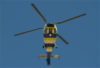 Luciano de la Rosa Gutirrez (Tenerife) Canary Islands Spotting. Click to see full size photo