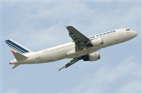Luciano de la Rosa Gutirrez (Tenerife) Canary Islands Spotting. Click to see full size photo