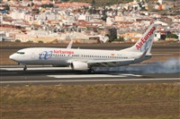 Alfonso Sols - Asociacin Canary Islands Spotting. Click to see full size photo