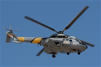 Gerardo A. Prez   Canary Islands Spotting. Click to see full size photo