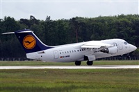 Rodrigo Carvalho - Noisy Spotters. Click to see full size photo