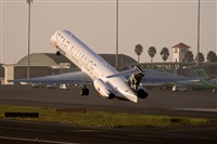 Javier de la Cruz - CANARY ISLANDS SPOTTING. Haz click para ampliar