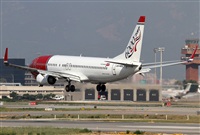 Jos Miguel Bernases - Noisy Spotters. Click to see full size photo