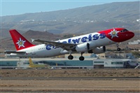 Javier de la Cruz - CANARY ISLANDS SPOTTING. Click to see full size photo