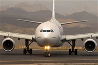 Javier de la Cruz - CANARY ISLANDS SPOTTING. Click to see full size photo