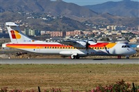 ©Salvador de la Rubia ( Marbella Spotters ). Click to see full size photo ©Salvador de la Rubia ( Marbella Spotters ). Click to see full size photo