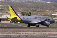©Alfonso Solís - Asociación Canary Islands Spotting. Click to see full size photo ©Alfonso Solís - Asociación Canary Islands Spotting. Click to see full size photo