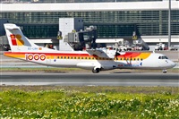 ©Salvador de la Rubia ( Marbella Spotters ). Click to see full size photo ©Salvador de la Rubia ( Marbella Spotters ). Click to see full size photo