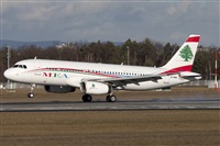 Miguel Alia - Noisy Spotters. Click to see full size photo