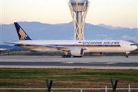 Rubn Gil - Noisy Spotters. Click to see full size photo