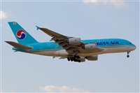 Javier de la Cruz - CANARY ISLANDS SPOTTING. Click to see full size photo