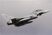 Alfonso Sols - Asociacin Canary Islands Spotting. Haz click para ampliar