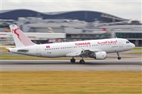 Miguel A. gueda Rguez.  (CANARY ISLANDS SPOTTING). Click to see full size photo