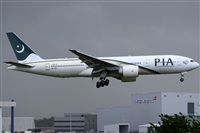 Rubn Gil - Noisy Spotters. Click to see full size photo