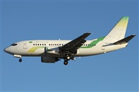 Alfonso Sols - Asociacin Canary Islands Spotting. Click to see full size photo