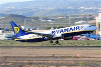 Miguel A. gueda Rguez.  (CANARY ISLANDS SPOTTING). Haz click para ampliar