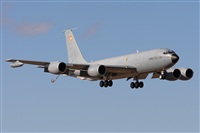 ©Adolfo Bento - Gran Canaria Spotters. Click to see full size photo ©Adolfo Bento - Gran Canaria Spotters. Click to see full size photo