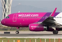 Miguel Alia - Noisy Spotters. Click to see full size photo