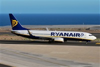 Alejandro Bethencourt (Canary Islands Spotting). Click to see full size photo