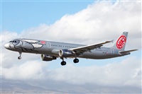 Nacho Rodriguez - Canary Islands Spotting. Click to see full size photo