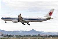 Javier de la Cruz - CANARY ISLANDS SPOTTING. Click to see full size photo
