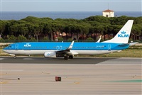 Miguel Alia - Noisy Spotters. Click to see full size photo