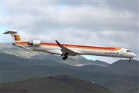 Bartolom Fernndez - Gran Canaria Spotters. Click to see full size photo