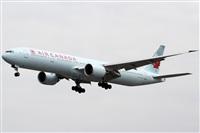 Rubn Gil - Noisy Spotters. Click to see full size photo
