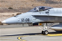 Florencio Martn Melin - Lanzarote Spotters. Click to see full size photo