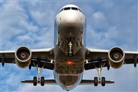 Javier de la Cruz - CANARY ISLANDS SPOTTING. Click to see full size photo