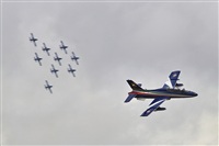 Carlos Seabra. Click to see full size photo