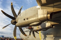 Bernardo Puente Fernndez-Gran Canaria Spotters - AIRE.org. Click to see full size photo