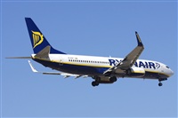 Saimon J Rodriguez   -   Canary Islands Spotting. Click to see full size photo