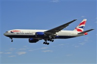 Miguel A. gueda Rguez.  (CANARY ISLANDS SPOTTING). Click to see full size photo