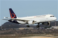 ©Alfonso Solís - Asociación Canary Islands Spotting. Click to see full size photo ©Alfonso Solís - Asociación Canary Islands Spotting. Click to see full size photo
