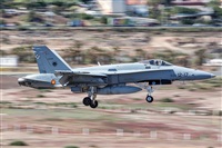 Bartolom Fernndez - Gran Canaria Spotters. Click to see full size photo