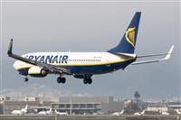 Nacho Rodriguez - Canary Islands Spotting. Click to see full size photo