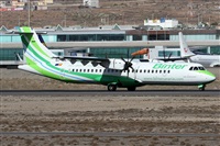 ©Alfonso Solís - Asociación Canary Islands Spotting. Click to see full size photo ©Alfonso Solís - Asociación Canary Islands Spotting. Click to see full size photo