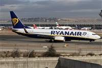 Alfonso Sols - Asociacin Canary Islands Spotting. Haz click para ampliar