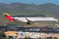 ©Adolfo Bento - Gran Canaria Spotters. Click to see full size photo ©Adolfo Bento - Gran Canaria Spotters. Click to see full size photo