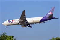 Miguel A. gueda Rguez.  (CANARY ISLANDS SPOTTING). Click to see full size photo